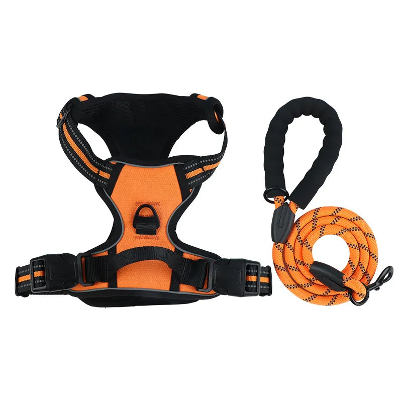 The Zoomies SafeWalk Harness & Lead Set
