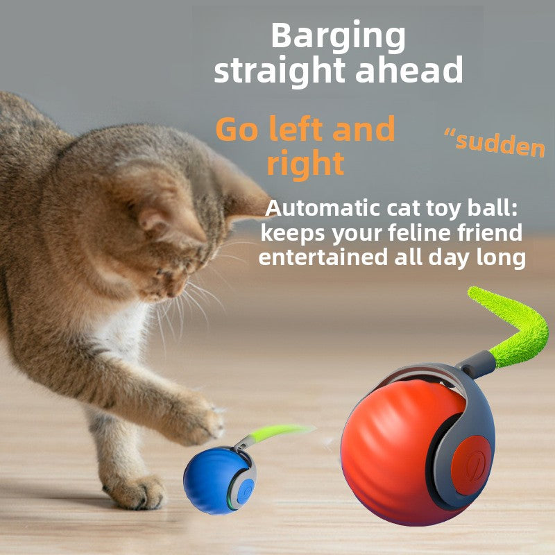 The Zoomies Kitty ZoomBall