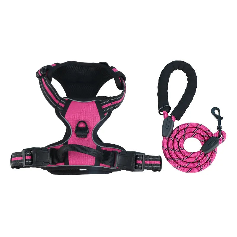 The Zoomies SafeWalk Harness & Lead Set