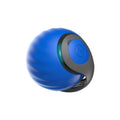 The Zoomies ZoomBall