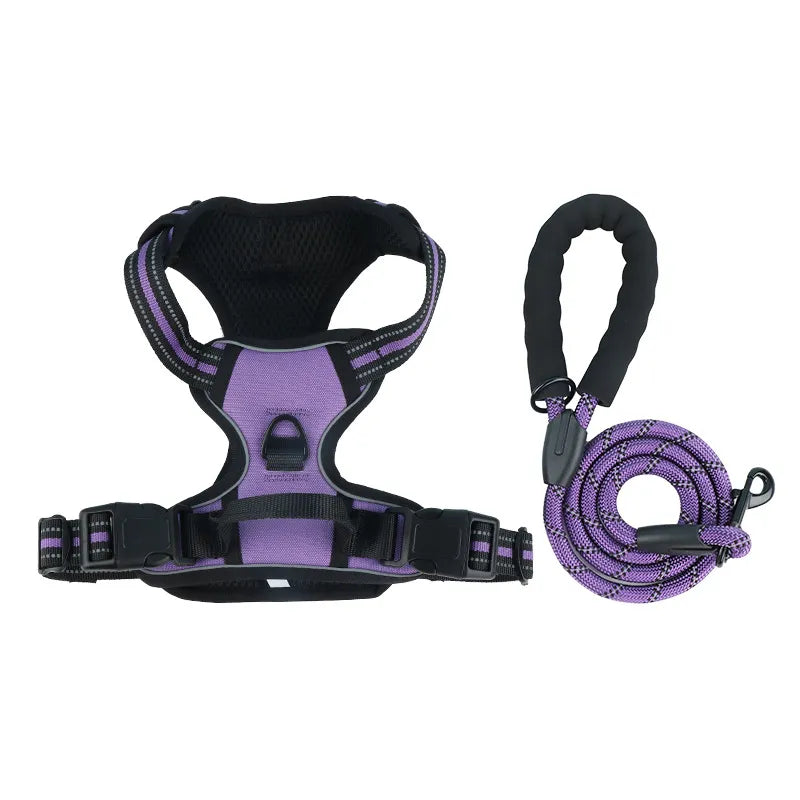 The Zoomies SafeWalk Harness & Lead Set