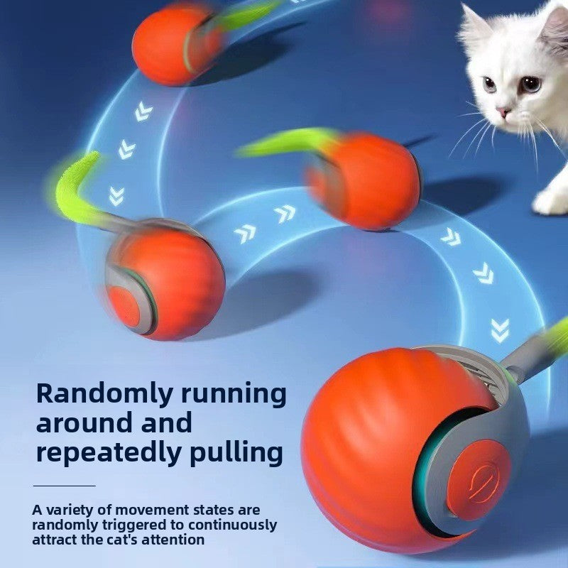 The Zoomies Kitty ZoomBall
