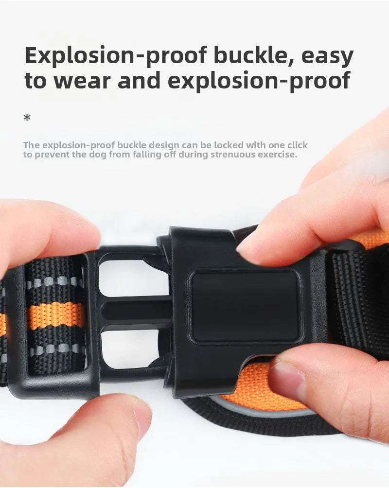 The Zoomies SafeWalk Harness & Lead Set