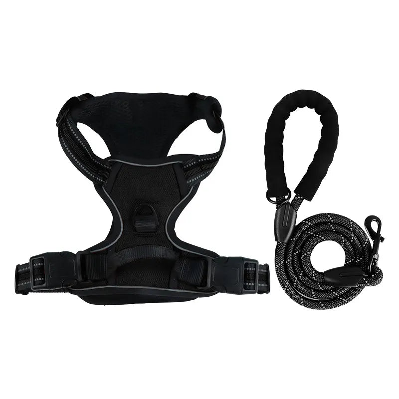 The Zoomies SafeWalk Harness & Lead Set
