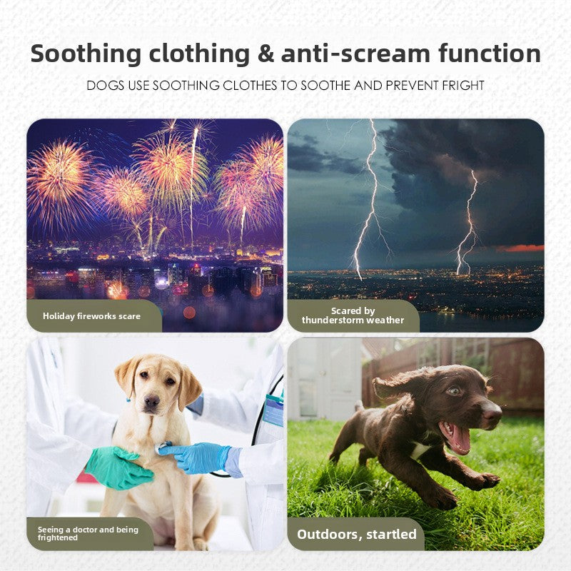 The Zoomies Calm Companion Jacket
