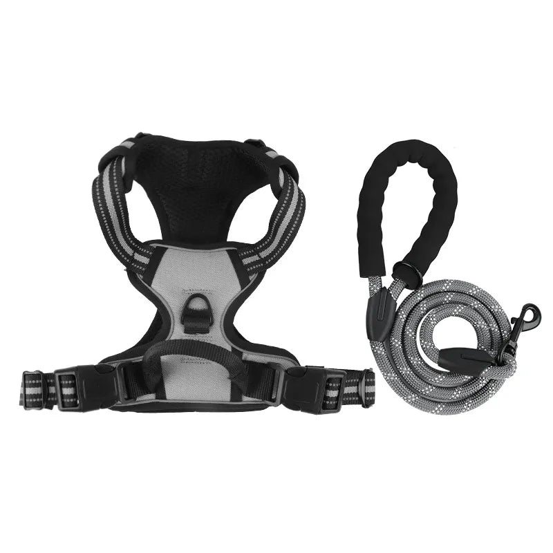 The Zoomies SafeWalk Harness & Lead Set