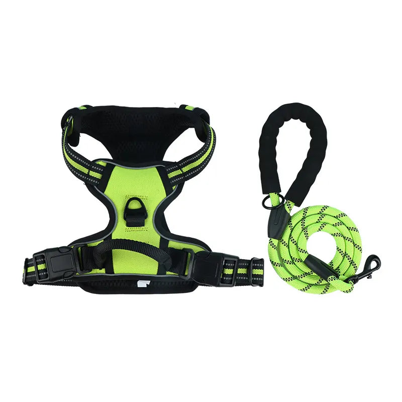The Zoomies SafeWalk Harness & Lead Set
