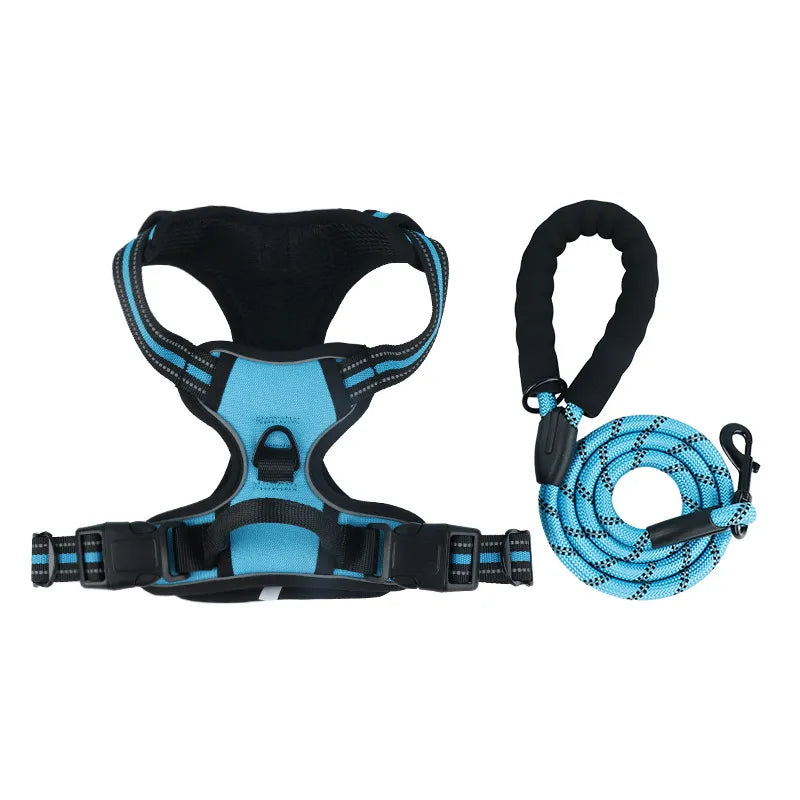 The Zoomies SafeWalk Harness & Lead Set