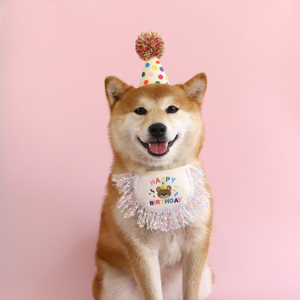 The Zoomies CelebratePaw Party Set