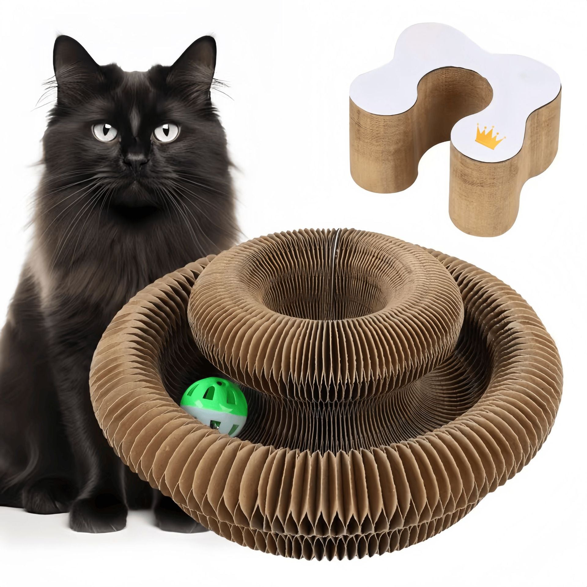 The Zoomies Kitty Maestro Scratch Pad