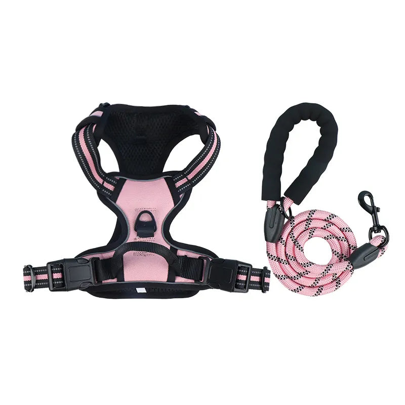 The Zoomies SafeWalk Harness & Lead Set