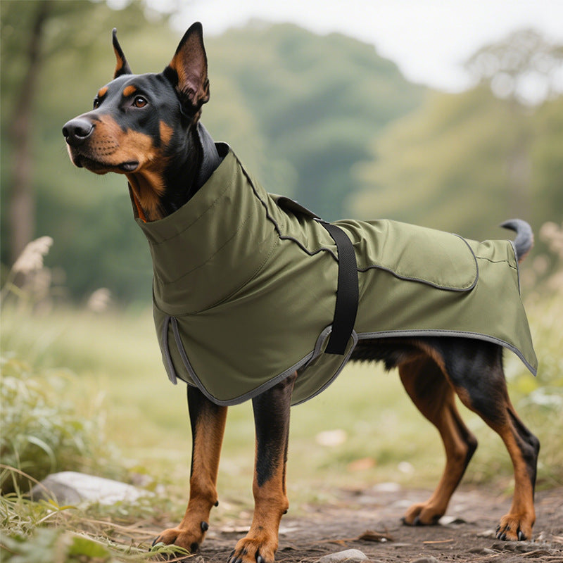 The Zoomies Walkies Jacket