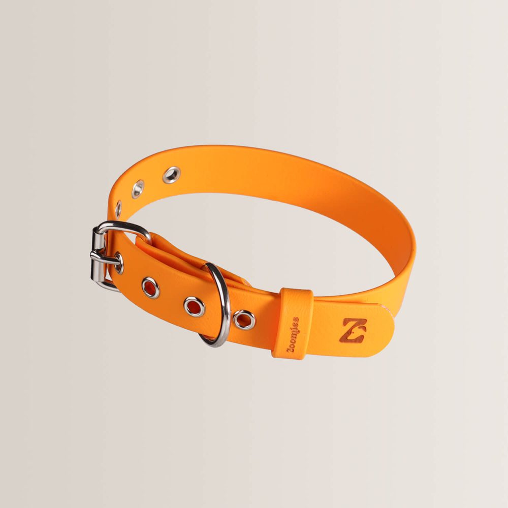 Essential Collar - AMBER