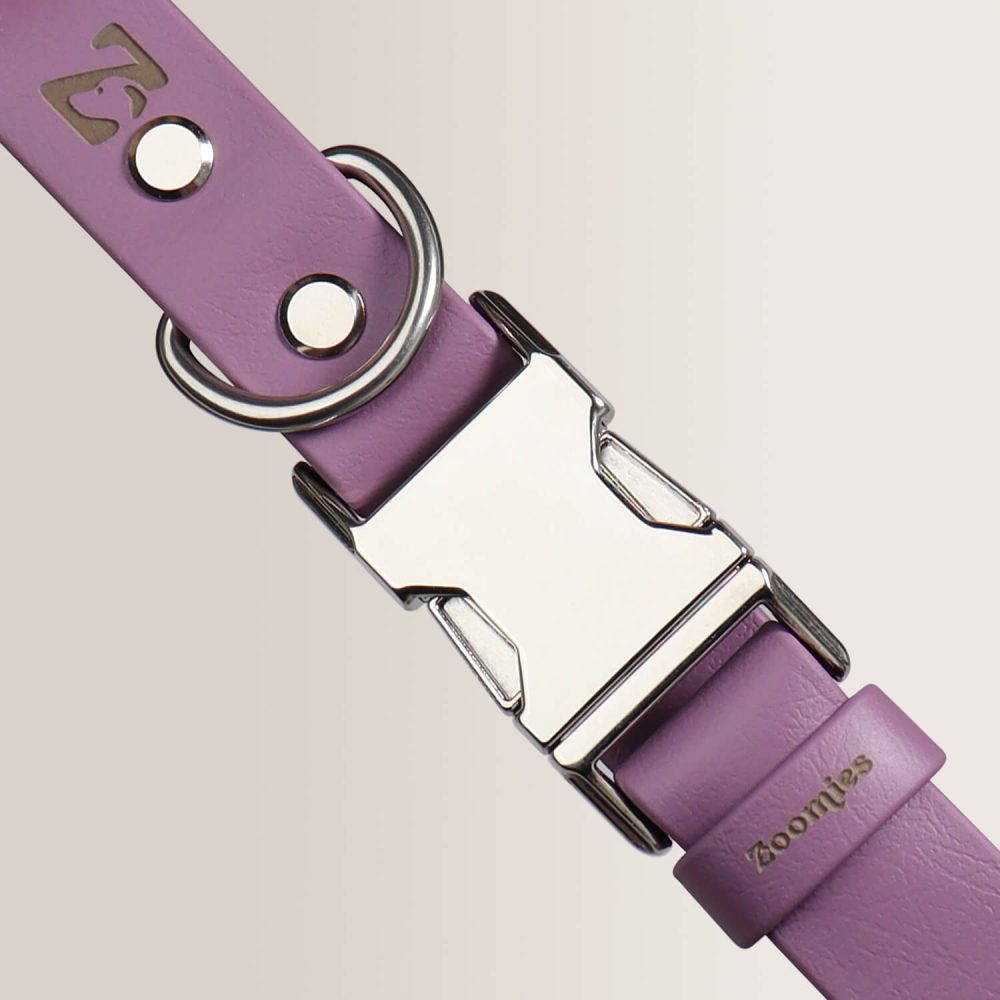 Quick Release Collar - AMETHYST