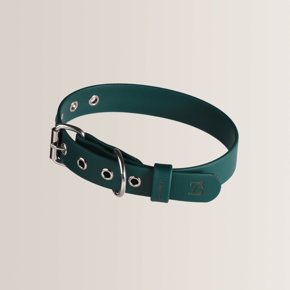 Essential Collar - EVERGREEN