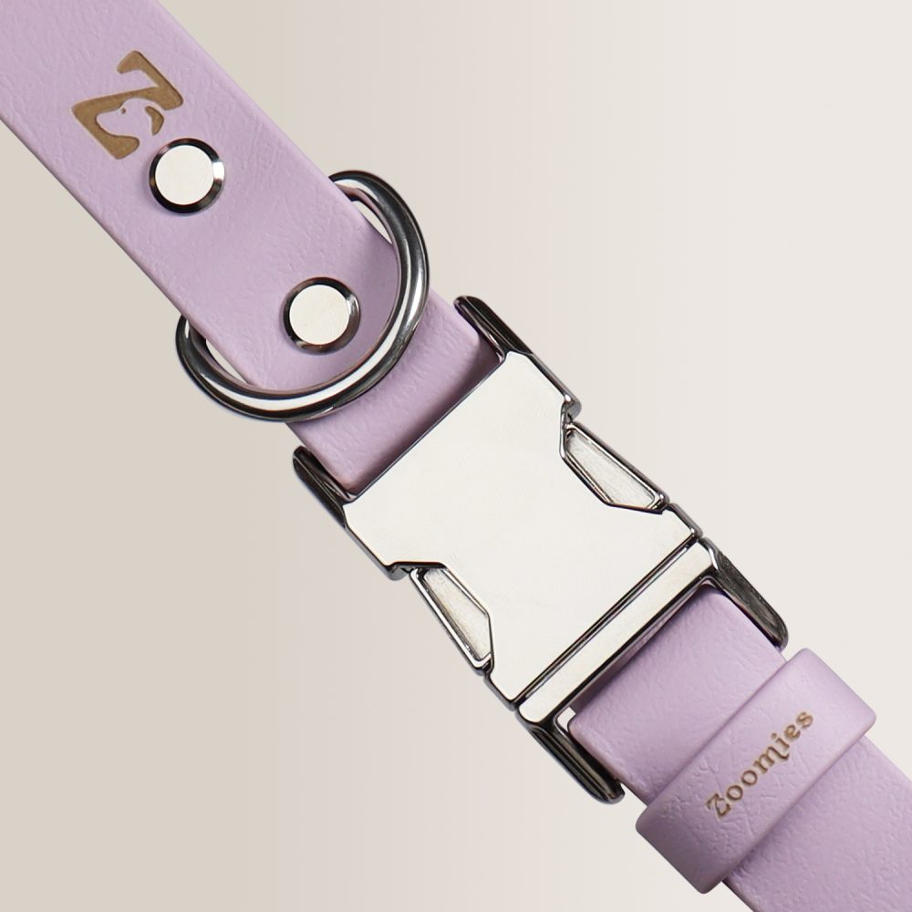 Quick Release Collar - LILAC