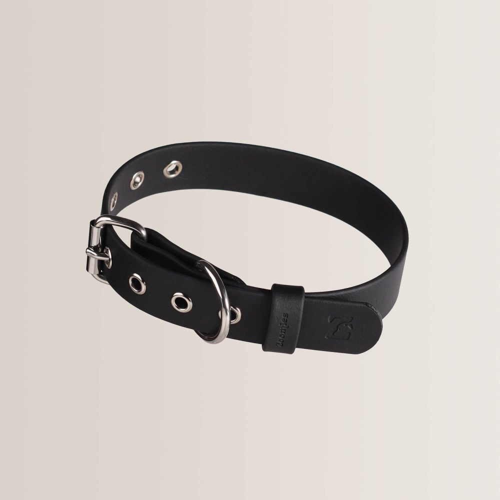 Essential Collar - ONYX