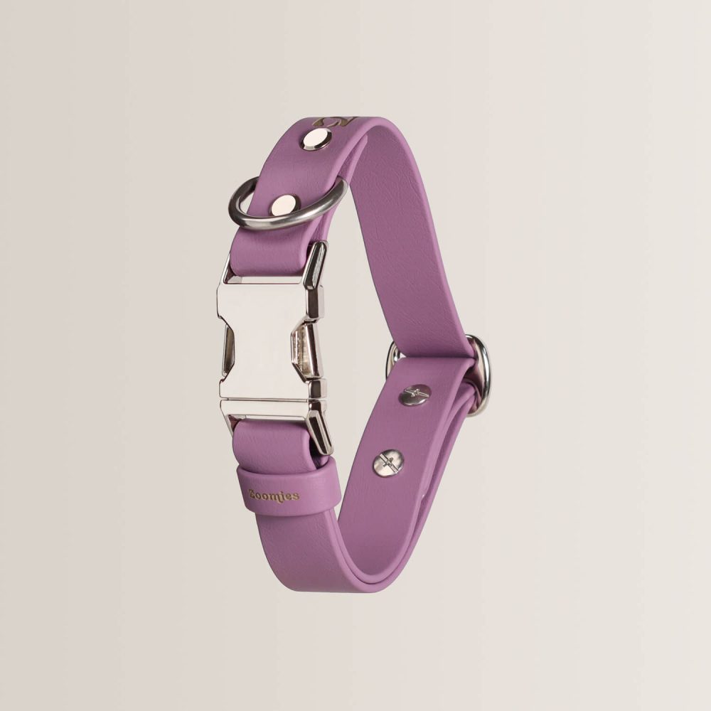 Quick Release Collar - AMETHYST