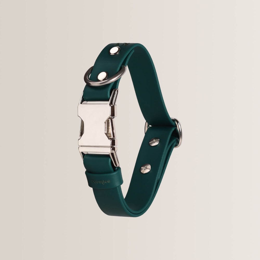 Quick Release Collar - EVERGREEN