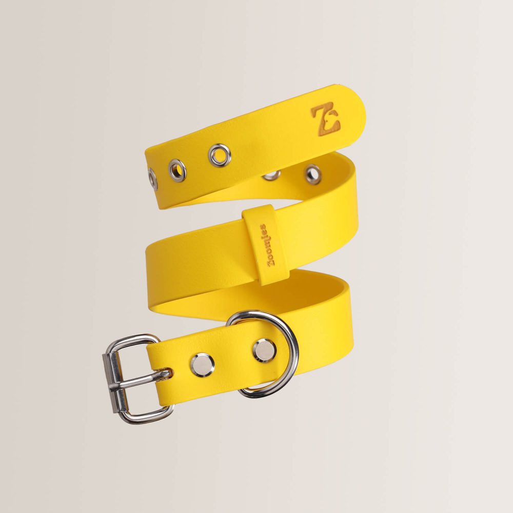 Essential Collar - SUNFLOWER