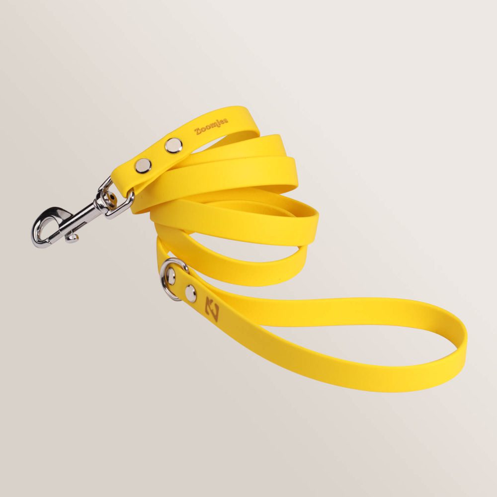 Essential Leash - SUNFLOWER