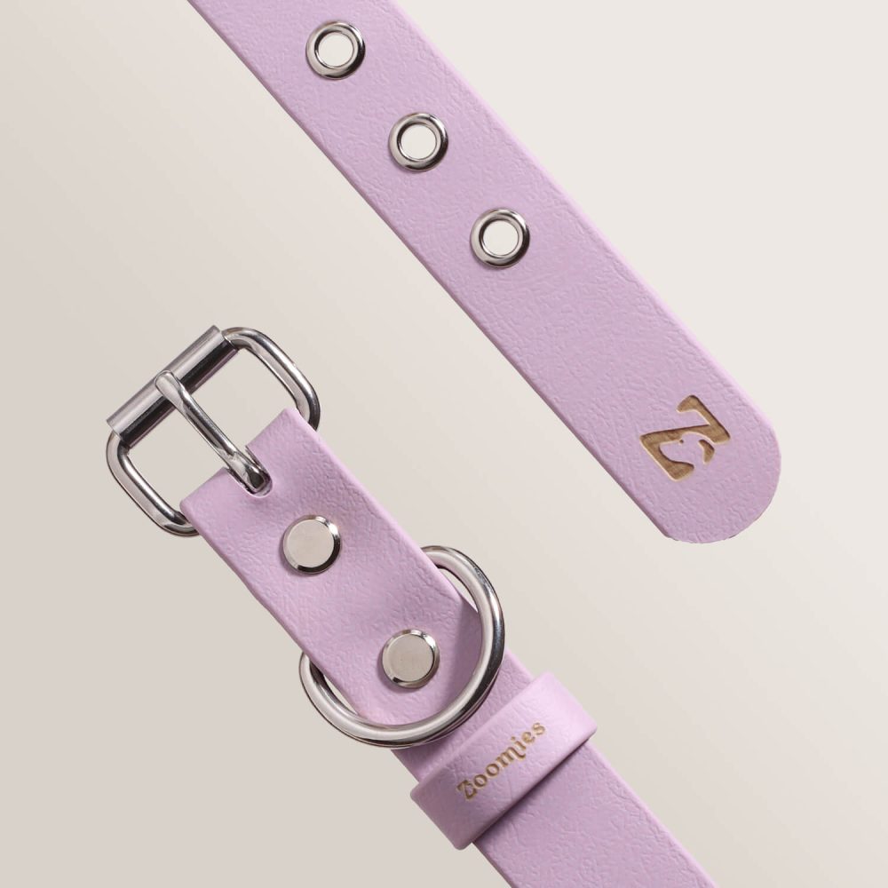 Essential Collar - LILAC