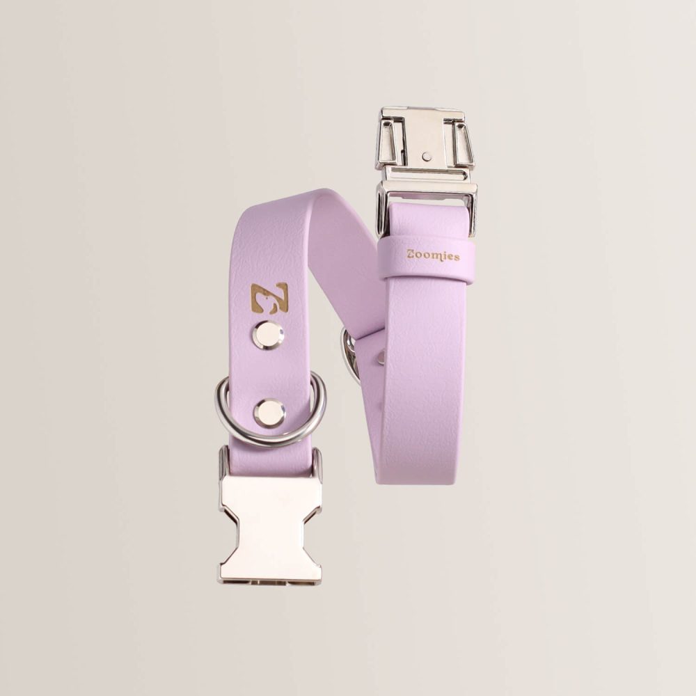 Quick Release Collar - LILAC